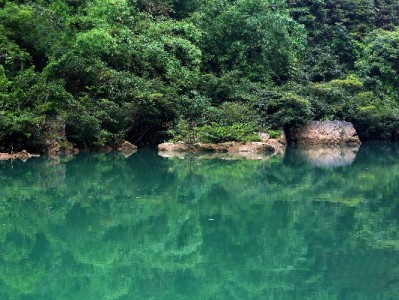 用银行卡还花呗不踩坑？出财小神教你3步轻松操作