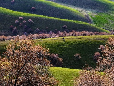 京东白条套现20%暗藏多重风险 安出掌柜提醒合规用信更安心