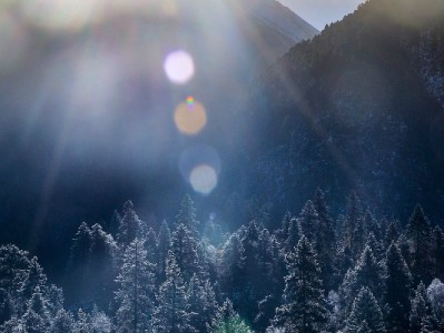 花呗付款套现暗藏三重风险 这些后果你真能承受？