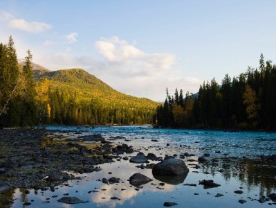重庆医保取现规则调整！出财小神详解新流程帮您少跑腿