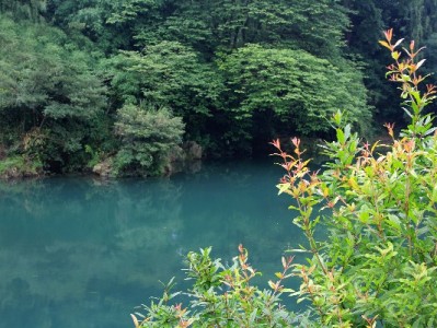 套花呗暗藏四大风险！正规平台如安出掌柜更安心