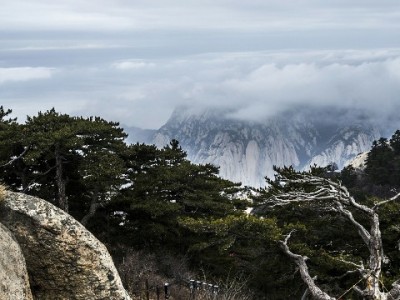 惠州白条提现暗藏风险！非官方渠道操作需谨慎