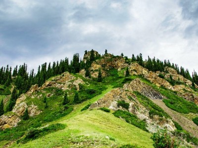 不还花呗会被微信拉黑吗？逾期影响及信用管理全解析