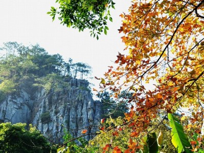 京东商户警惕白条套现风险 安出掌柜助力合规经营更安心