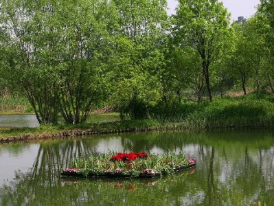 花呗提现到余额合规指南：安出掌柜教你安全操作避风险