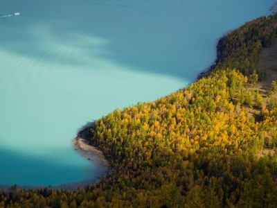 抖音月付券到账规则揭秘：商家实际能拿多少？看这篇就懂