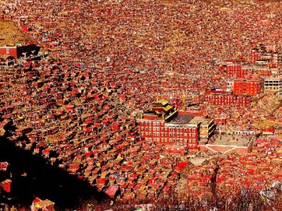 漳州警惕！"出财小神"关联抖音月付套现骗局全揭秘