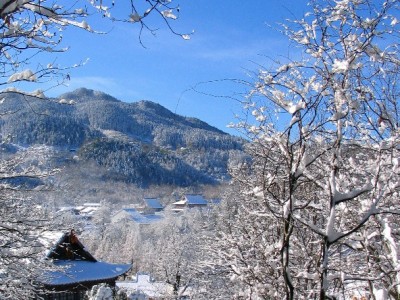 花呗钱能退回银行卡吗？消费退款、还款规则全解析