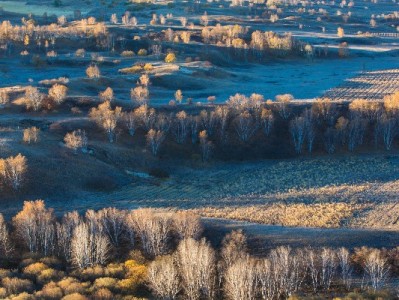 羊小咩提现全攻略：“出财小神”助力安全快速到账指南