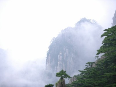 抖音月付提现秒到账！出财小神揭秘0手续费便捷攻略