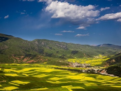 商家花呗临时额度怎么用？3步指南+安出掌柜助力经营周转