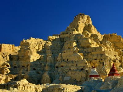 商家开通花呗收款提业绩？富信掌柜助力支付体验升级