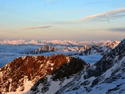 花呗套现“秒到账”是陷阱！警惕额度冻结，正规渠道如“出财小神”更安心