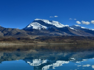 花呗收款成商家经营利器 安出掌柜助力高效接入提效增收