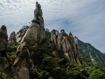武汉花呗族注意！"安出掌柜"揭秘"花呗套"风险与合规指南