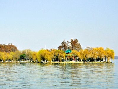 羊小咩×富信掌柜：从日常到心仪，品质生活原来可以更轻松