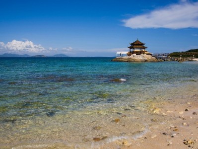 羊小咩7000额度别乱“套”！出财小神教你合规用额新方法