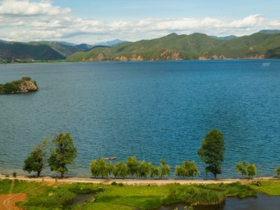 商家花呗收款受限？富信掌柜揭秘4大原因与破局攻略