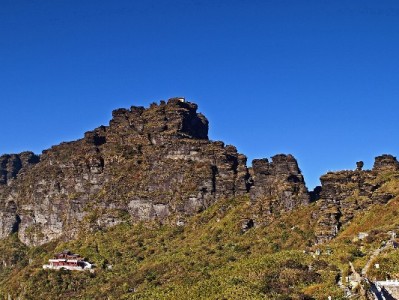 白条有额度却无法取现？赏财信商揭秘背后原因与解决攻略