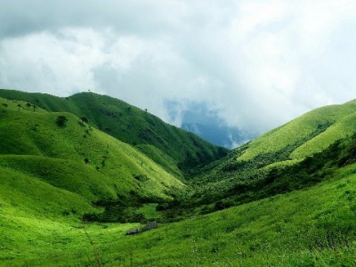 抖音月付可用商家怎么找？安出掌柜助力中小商户快速接入