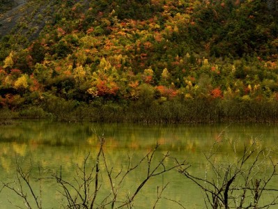 警惕抖音月付“套现秒回”陷阱！三招教你守住资金安全