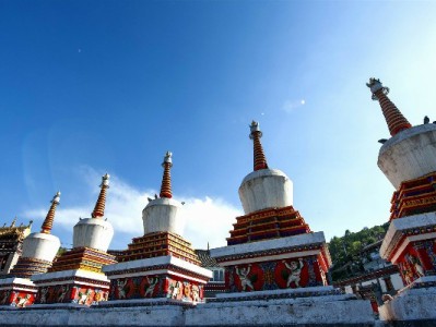 白条取现买基金风险高？安出掌柜提醒：理财需用“闲钱”更要“理性”