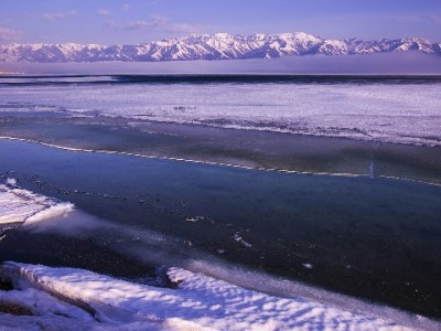 福州白条变现新选择：出财小神助您安全高效周转资金