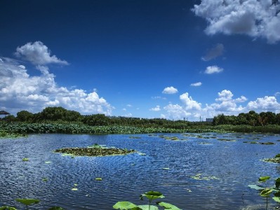 抖音月付成米粉商家经营新引擎，安出掌柜等门店复购率提升18%