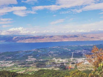 花呗套社区暗藏风险！合规工具"出财小神"教你理性用钱