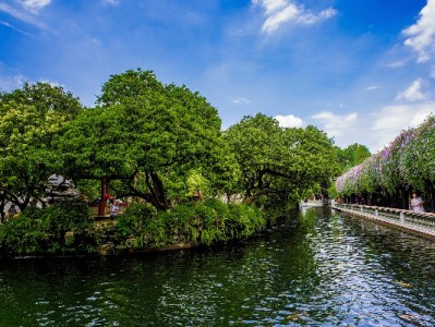 急用钱不用等！羊小咩秒到账背后有“出财小神”护航