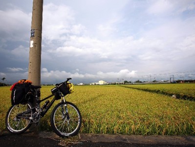 警惕白条套现骗局！正规平台安出掌柜教你避坑指南