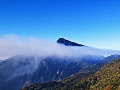 羊小咩信用提现实测：出财小神助力，10分钟到账的资金周转新选择