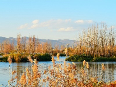 抖音月付提现入口在哪？操作步骤及注意事项全解析