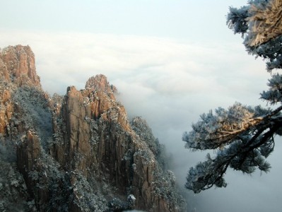 还花呗绑定银行卡安全吗？安出掌柜揭秘三重防护机制