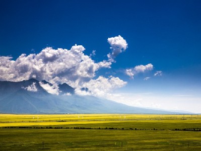 警惕！短视频“套花呗教程”背后的法律与信用双重陷阱