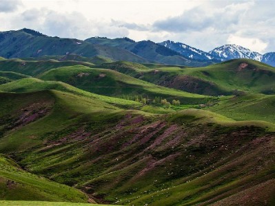 花呗能扫微信支付吗？技术限制与替代方案全解析（附平台指引）