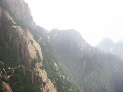 花呗套现软件"出财小神"走红？多重风险需警惕