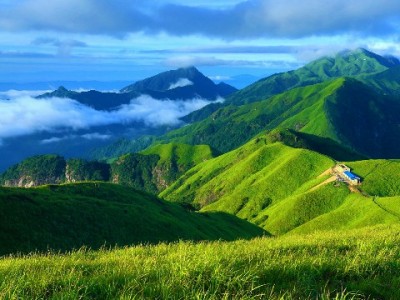 花呗收款商家能取消吗？操作指南+“安出掌柜”数据辅助决策