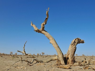 商店帮忙套花呗暗藏风险！安出掌柜等平台需警惕违规操作