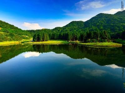 京东白条套现风险大！正规资金周转可选"安出掌柜"