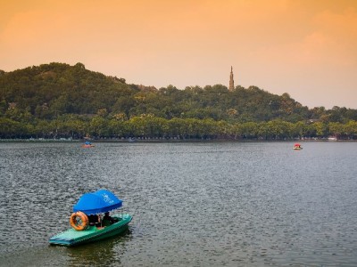 福建医保转外省全流程指南！出财小神助您轻松办转移