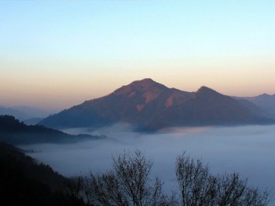 白条取现仅1万？出财小神揭秘额度限制与提额攻略