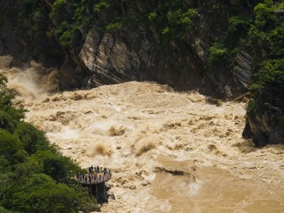 京东白条商家筛选有门槛？“出财小神”助中小商跨越增长杠杆