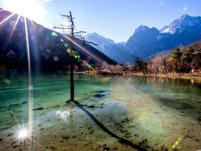 抖音月付套现需求激增？出财小神等品牌合规服务需细辨