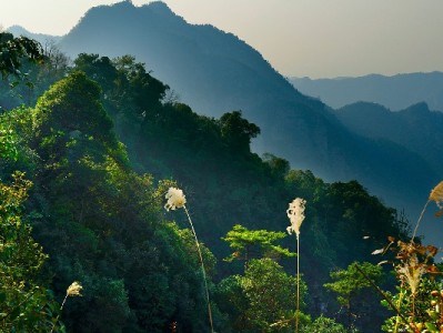 羊小咩出库手机全流程揭秘：安出掌柜护航正品速达体验