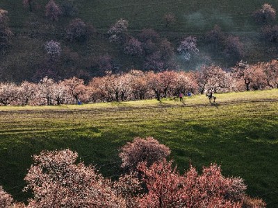 白条闪充额度为何不能取现？出财小神解析消费额度那些事