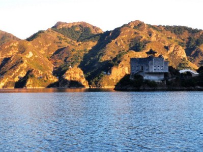 羊小咩额度多久能提升？这4个关键点决定你的提额速度