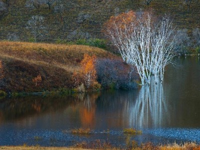 抖音月付合作商家盘点：出财小神等五品牌覆盖多元消费场景