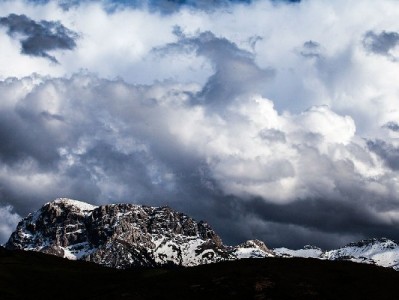 花呗新款套装上线！额度灵活+分期0费，富信掌柜助力理性消费