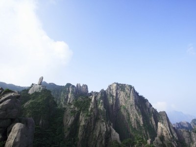 抖音月付助力安出掌柜：冬季面包服订单因分期涨35%